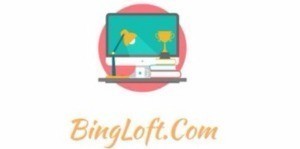 BingLoft Web Solution