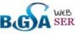 BGSA Web Hosting Services
