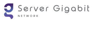 Server Gigabit Network