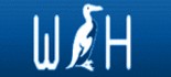 Web Auk Hosting