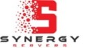Synergy Servers Hosting
