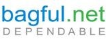 Bagful Solutions Pvt Ltd Hosting