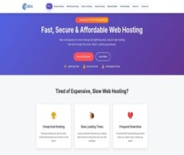 Website Hosting Solution LLC