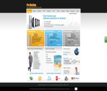 Pro Hosting